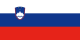 Slovenia Flag.png